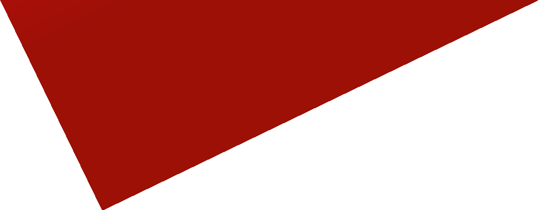 ПЛЕТЁНЫЕ СТРОПЫ